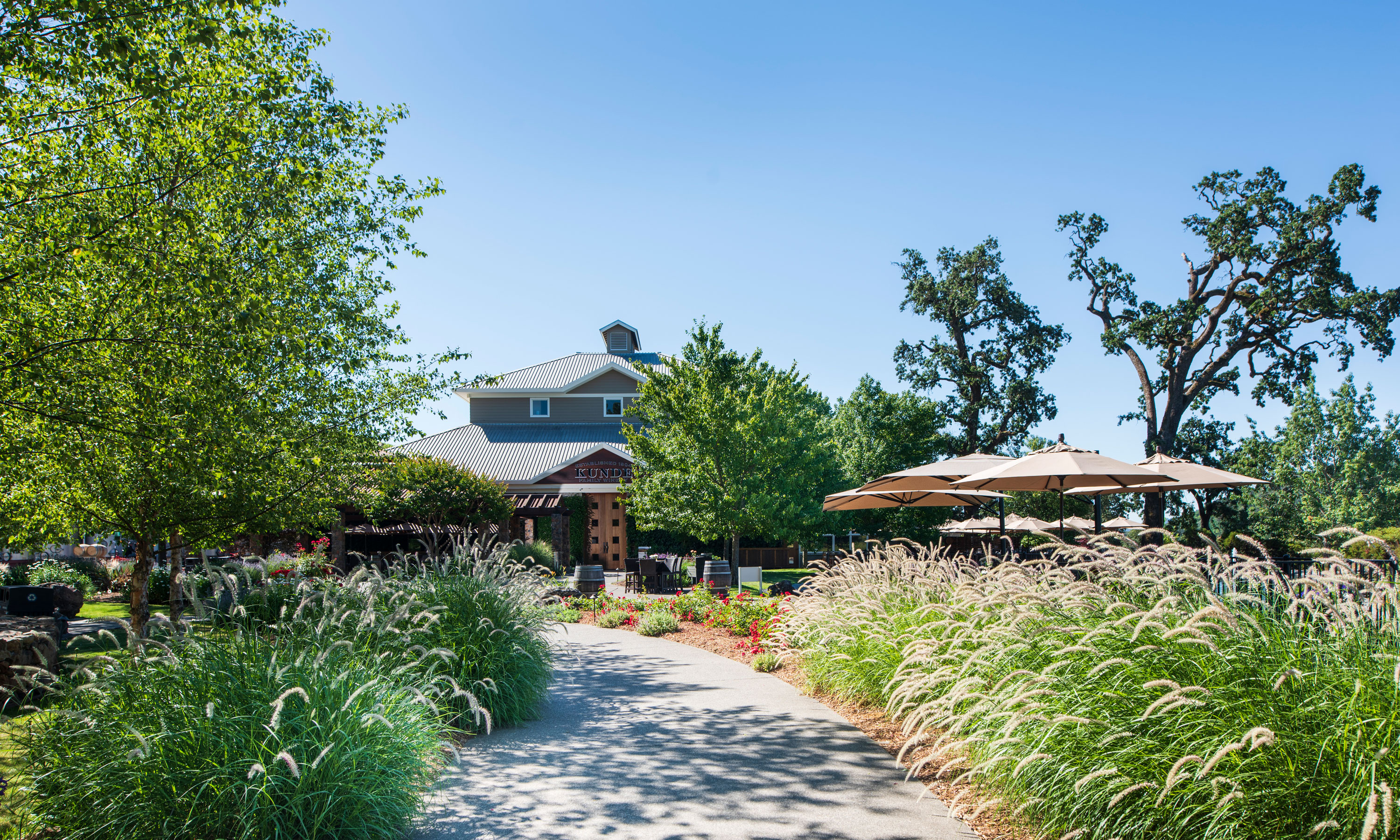 Best Wineries with Lunch Options / SONOMA VALLEY